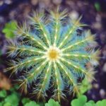 平博体育:全方位解析最新体育赛事投注策略 16jf9al5