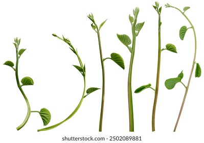 1991年双色球开奖号码查询与历史回顾 1991年双色球开奖号码查询与历史回顾