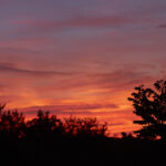 19256期体彩开奖结果最新公布完整版 1zcb3y