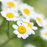 19448开奖直播现场:最新结果即将揭晓 26q6ze6d1