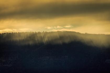 1992年香港开奖记录完整回顾与历史数据解析 1992年香港开奖记录完整回顾与历史数据解析
