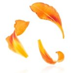 3d开奖历史开奖007前后关系走势图表分析 h9o9vf