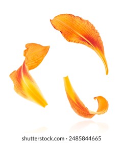 3d开奖历史开奖007前后关系走势图表分析 3d开奖历史开奖007前后关系走势图表分析