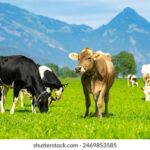 1986年福利彩票开奖结果完整历史数据查询 ilowlui