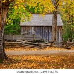 3D开奖历史号码完整版数据统计与查询 nsll5s1b0