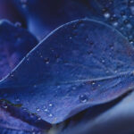 3D开奖前天开奖结果查询与历史数据分析 nwr6iqkdz