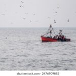 1996年全年完整开奖结果查询与历史数据汇总 qie6p9wja