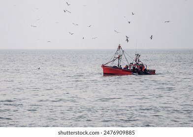 1996年全年完整开奖结果查询与历史数据汇总 1996年全年完整开奖结果查询与历史数据汇总